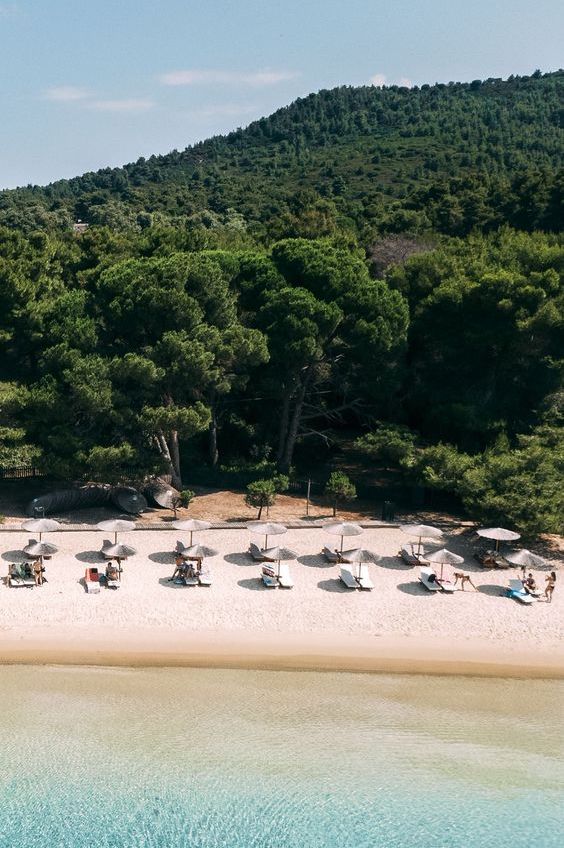 Lush pine forest next to the white sand of Skiathos, part of the Sporades archipelago