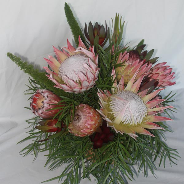 Protea Valhalla Flower Farm, LLC.