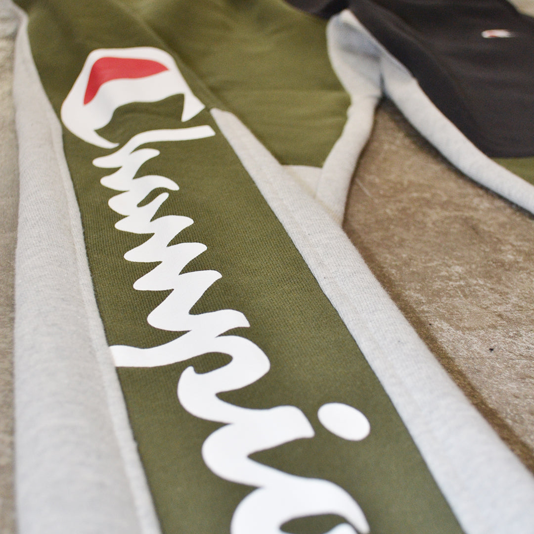 champion reverse weave colorblock sweatpants