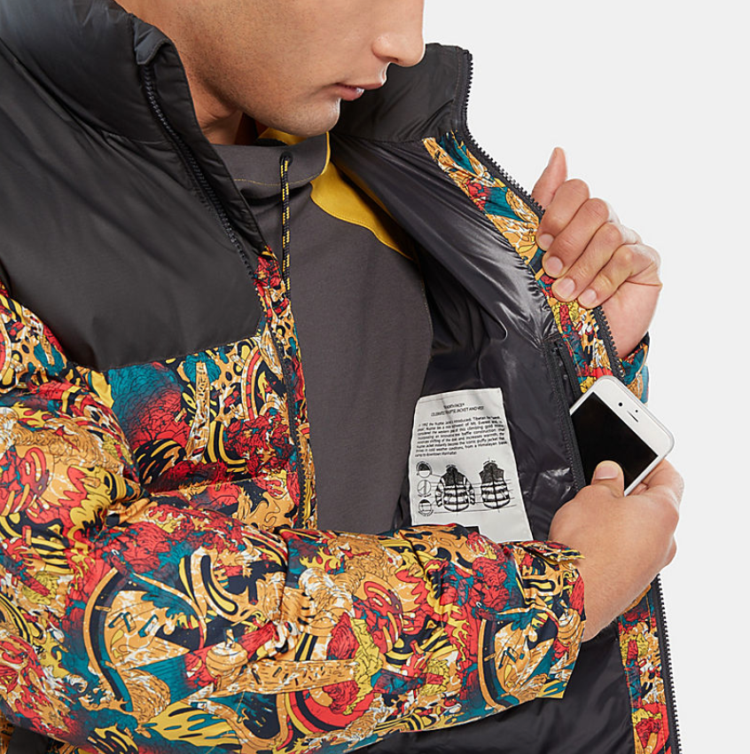 the north face genesis print