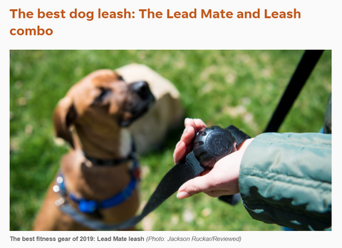 best dog leash for arthritic hands