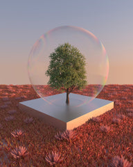 DAYDREAM 01-2
