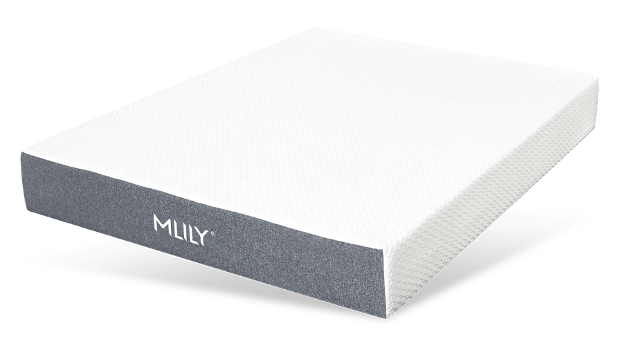 mlily fusion ortho