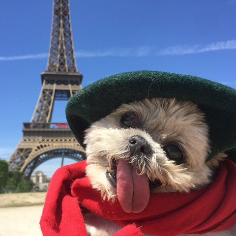 Marnie’s trip to France