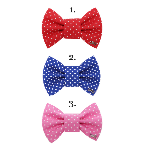 colourful dog bow ties with dots funky dog