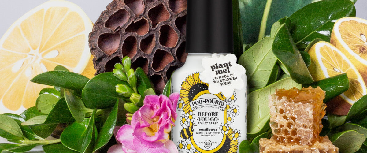 POO-POURRI SUNFLOWER  Findlay Rowe Designs