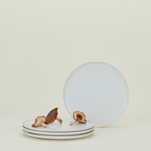 Porcelain Paper Plate – Hawkins New York