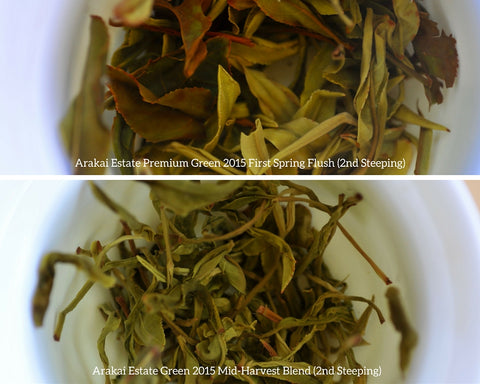 Comparison of Arakai Estate 2015 Green Premium and Mid-Harvest tea