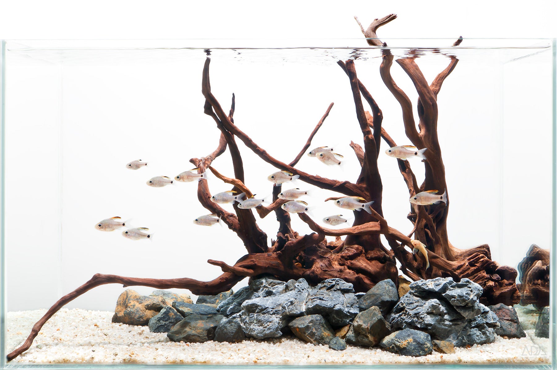 Aquarium driftwood