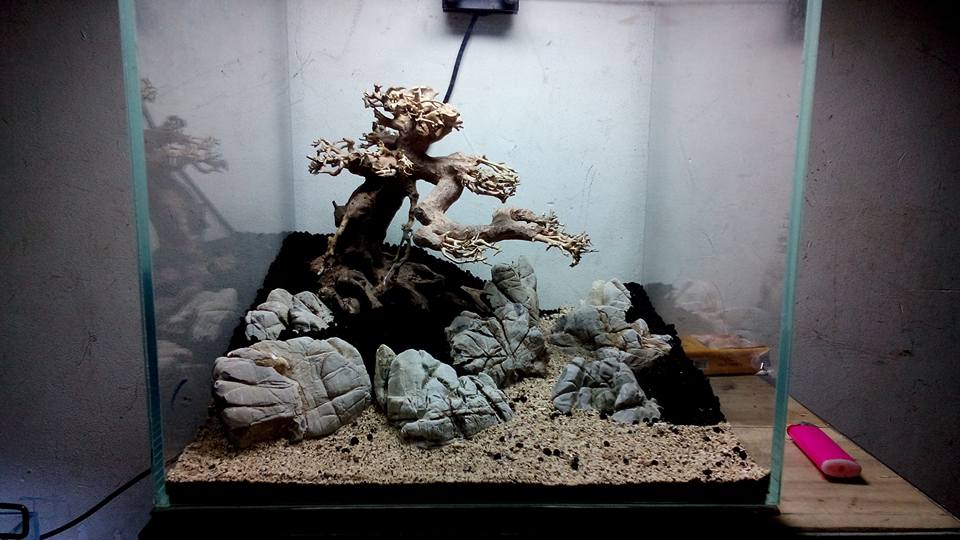 Aquarium Driftwood benefits