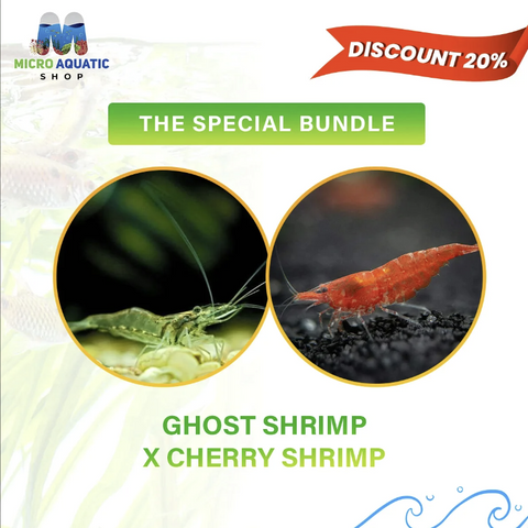 Ghost ShrimpXRed-Cherry-Shrimp-The-Special-Bundle