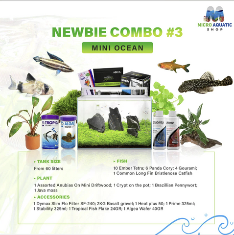 MINI-OCEAN-COMBO:FOR-NEWBIE-FISH&PLANT-LOVER