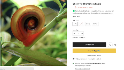 cherry-red-ramshron-snails