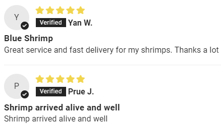 review-blue-cherry-shrimp