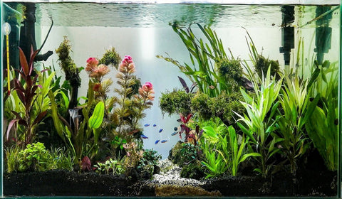 Décoration d'aquarium artificiel Fish Tank pour Fish Guppies Accs 