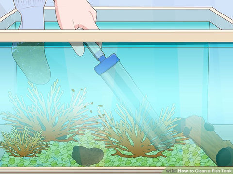 how to clean a fish tank