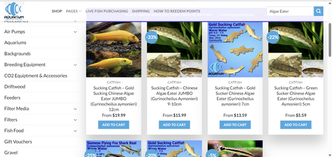 algae-eater-aquarium-central-online