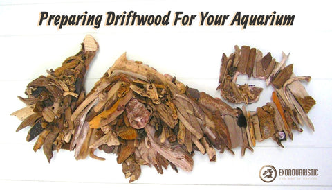 Best Driftwood Preparation for Aquarium