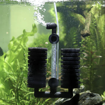 set-up-filters-for-fish-tanks