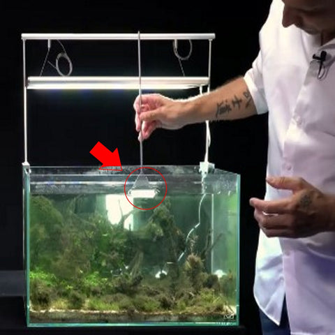 How To Clean A Fish Tank or An Aquarium - 5 Easy Steps – Micro