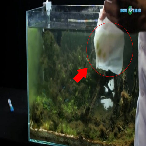 fish tank cleaner paper towel 