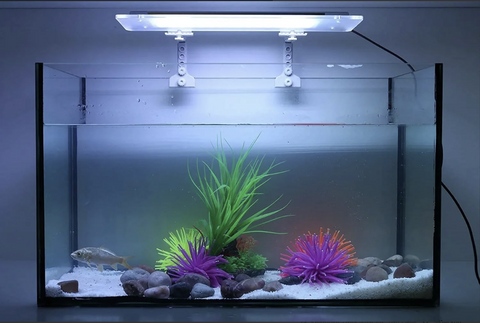 set-up-new-fish-tank