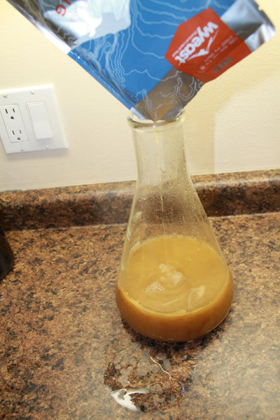 Erlenmeyer Flasks on Electric Stovetop? Yeast Starters Using the Double  Boiler Method