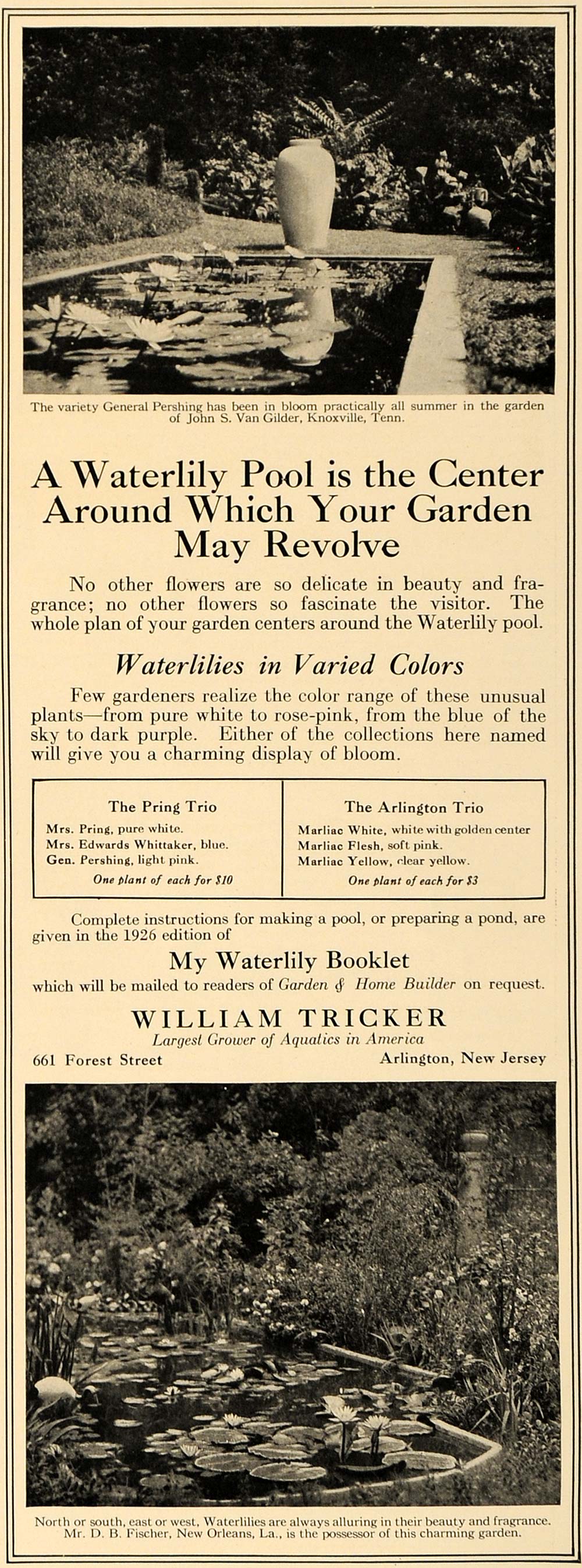 1926 Ad William Tricker Waterlily Pool Garden Aquatics Original