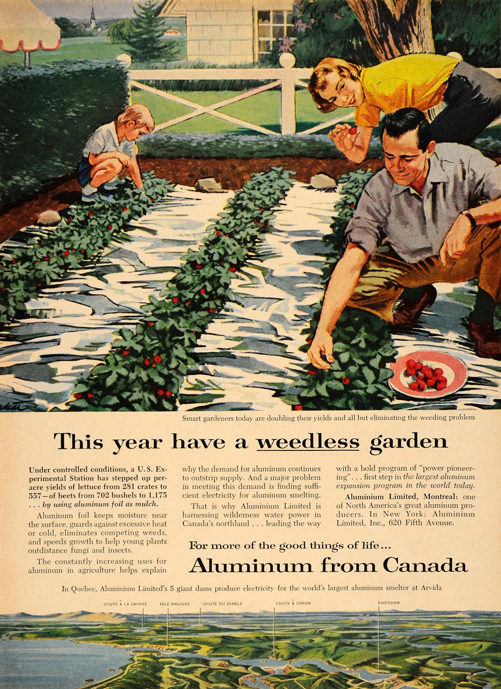 1957 Reynolds Aluminum Foil Wrap Ad Best for Baking Ham