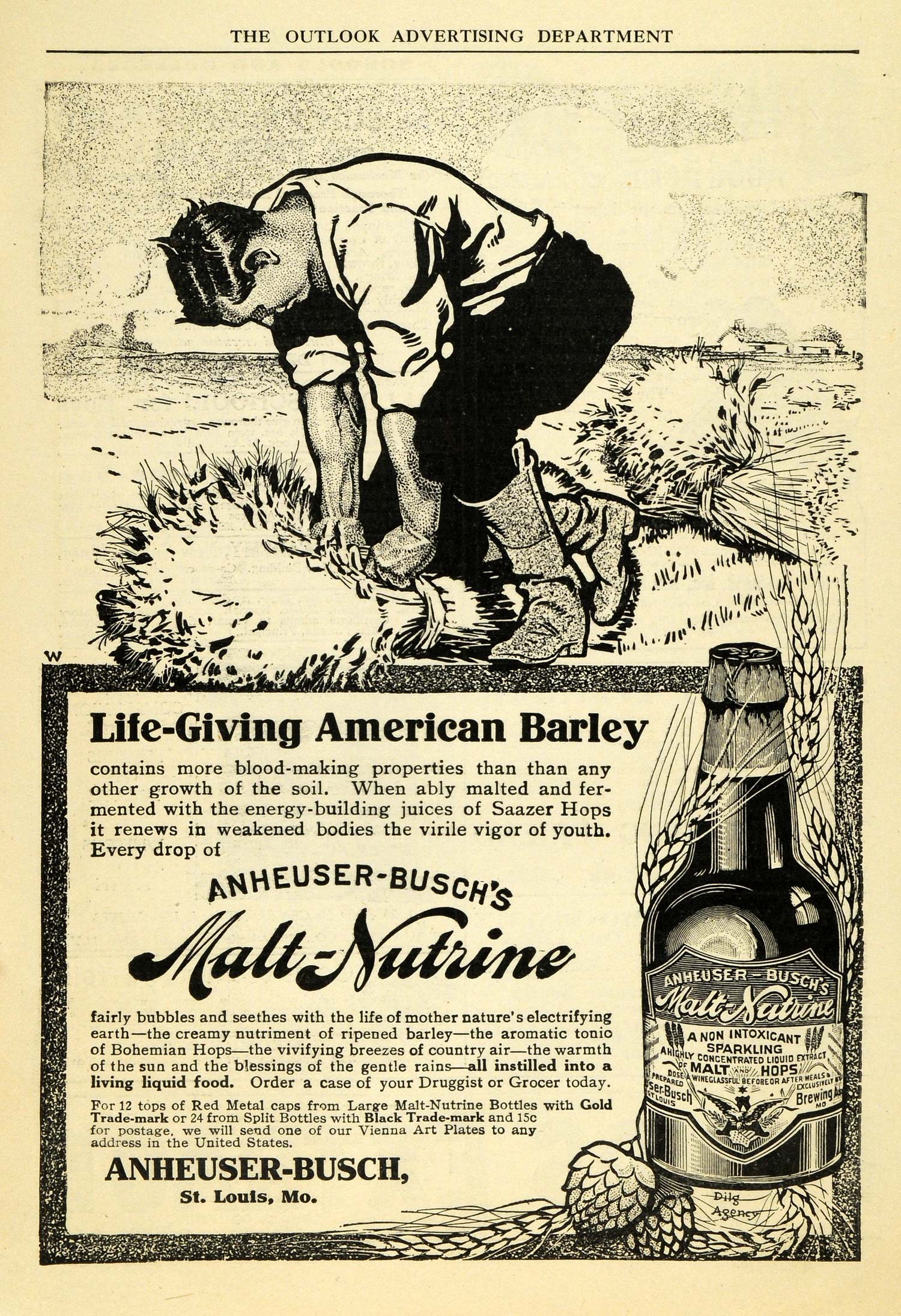 1909 Ad Anheuser Busch Malt Nutrine Healthy Barley Farmer Agriculture TOM3