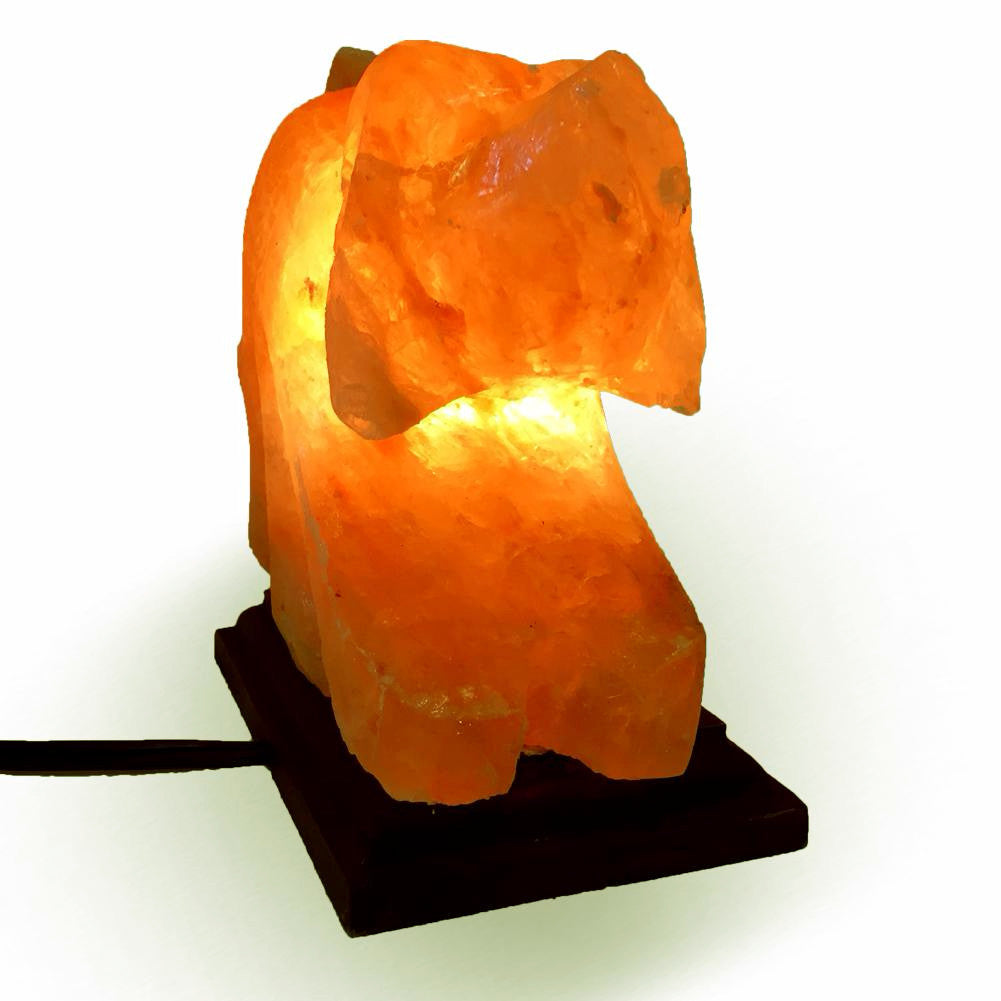 Natural Himalayan Dog Shape Salt Lamp – Fantasia Mining