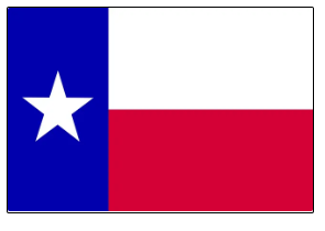 texas foreign qualification
