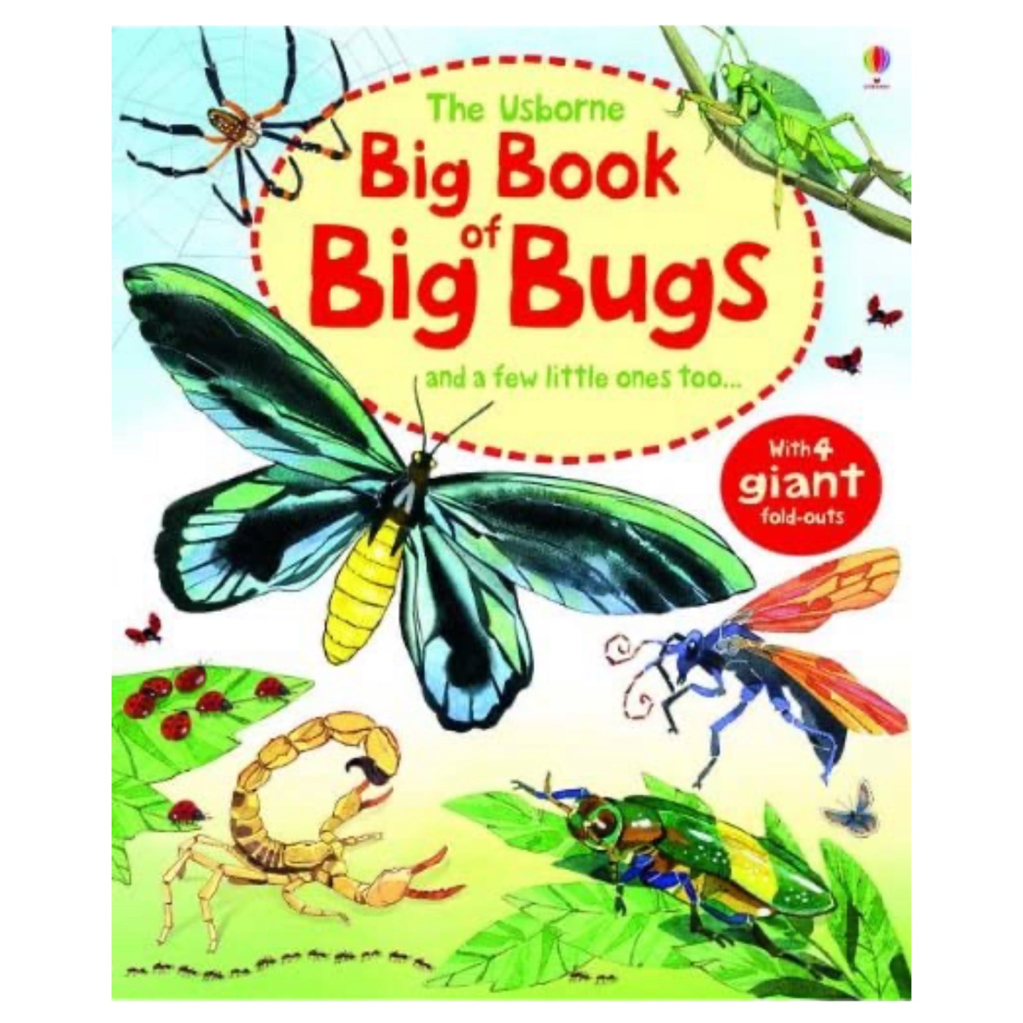 Big Book of Big Bugs