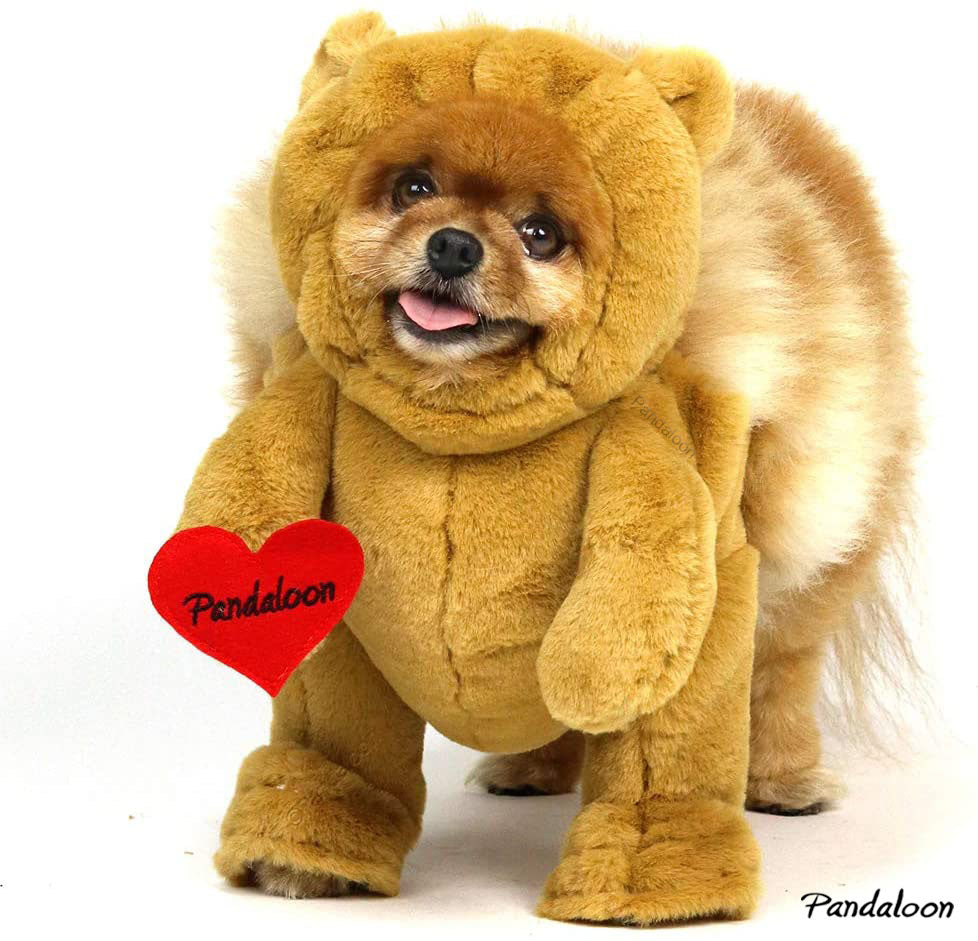 Pandaloon Walking Teddy Bear Dog and Pet Costume - AS SEEN ON SHARK TA