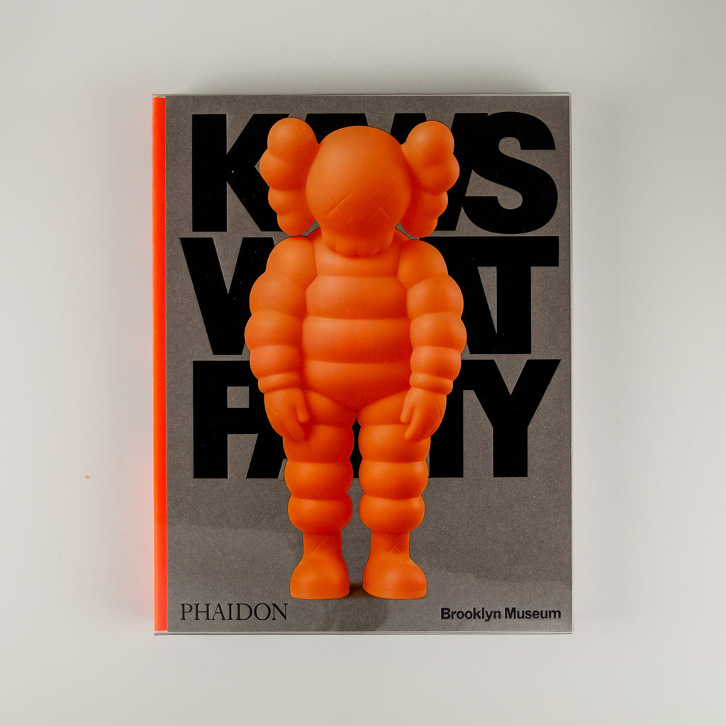 KAWS WHAT PARTY+spbgp44.ru