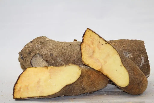 Jamaican Yellow Yams — OEXMARKETS