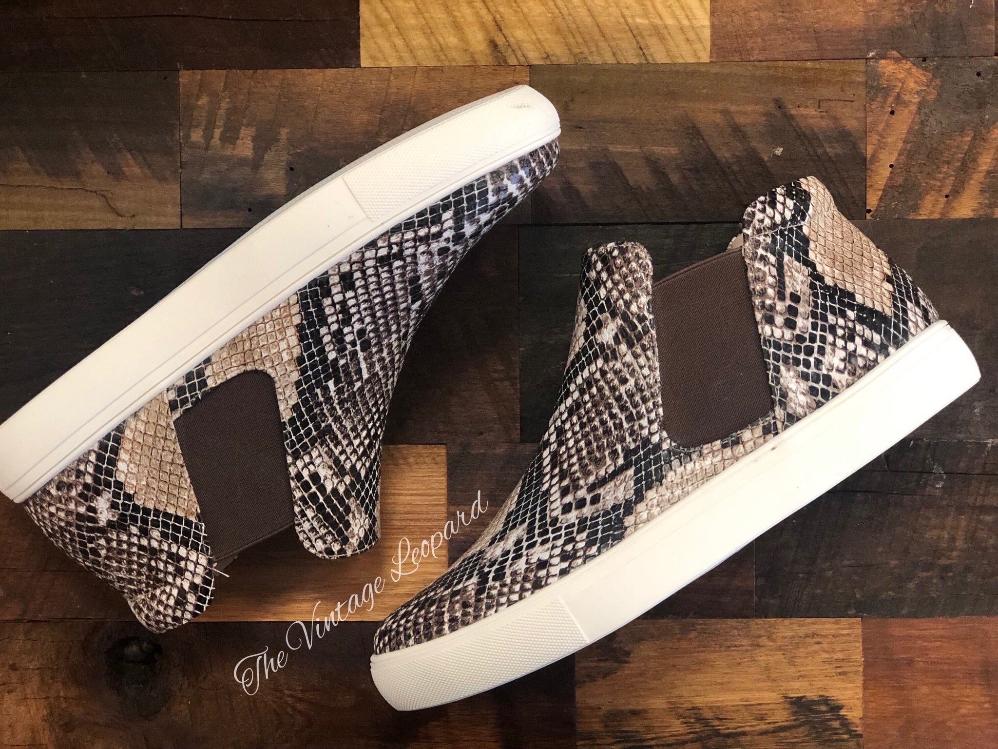 coconuts x matisse harlan snake sneaker