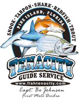 Tenacity Guide Service