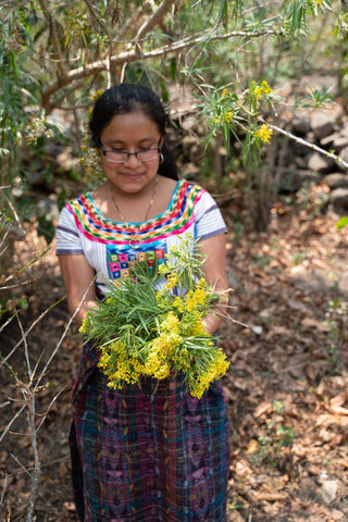 traditional backstrap Weavers in Guatemala gathering natural materials www.ixcheltriangle.com