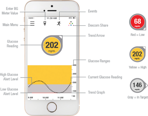 Dexcom G6 Sensors - TWO 3-packs (6 Sensors)