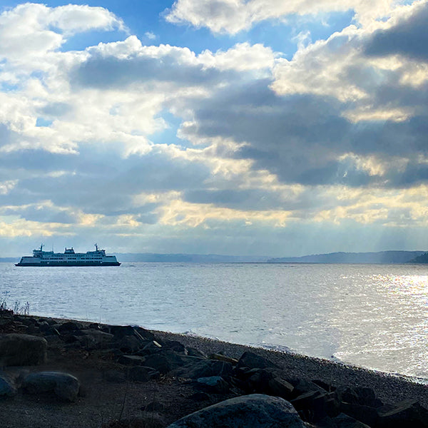 ferry at Lincoln Park Seattle