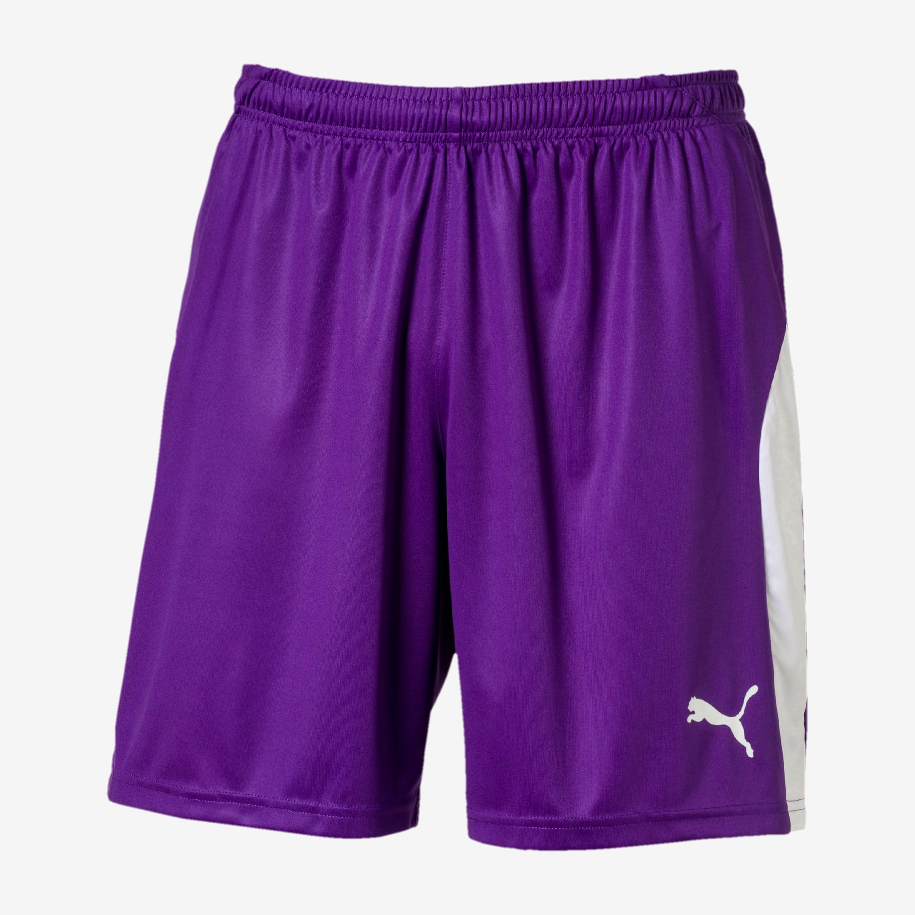 Men's Puma LIGA Shorts