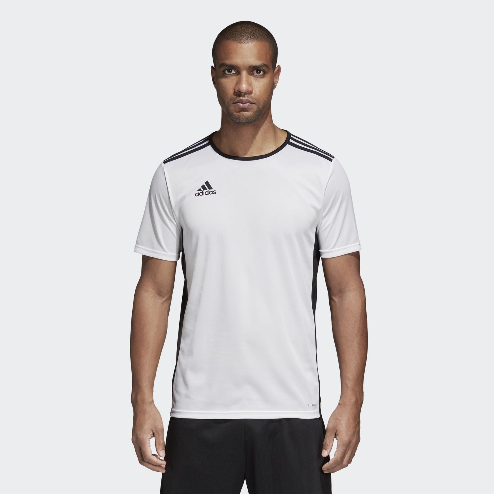 entrada adidas jersey