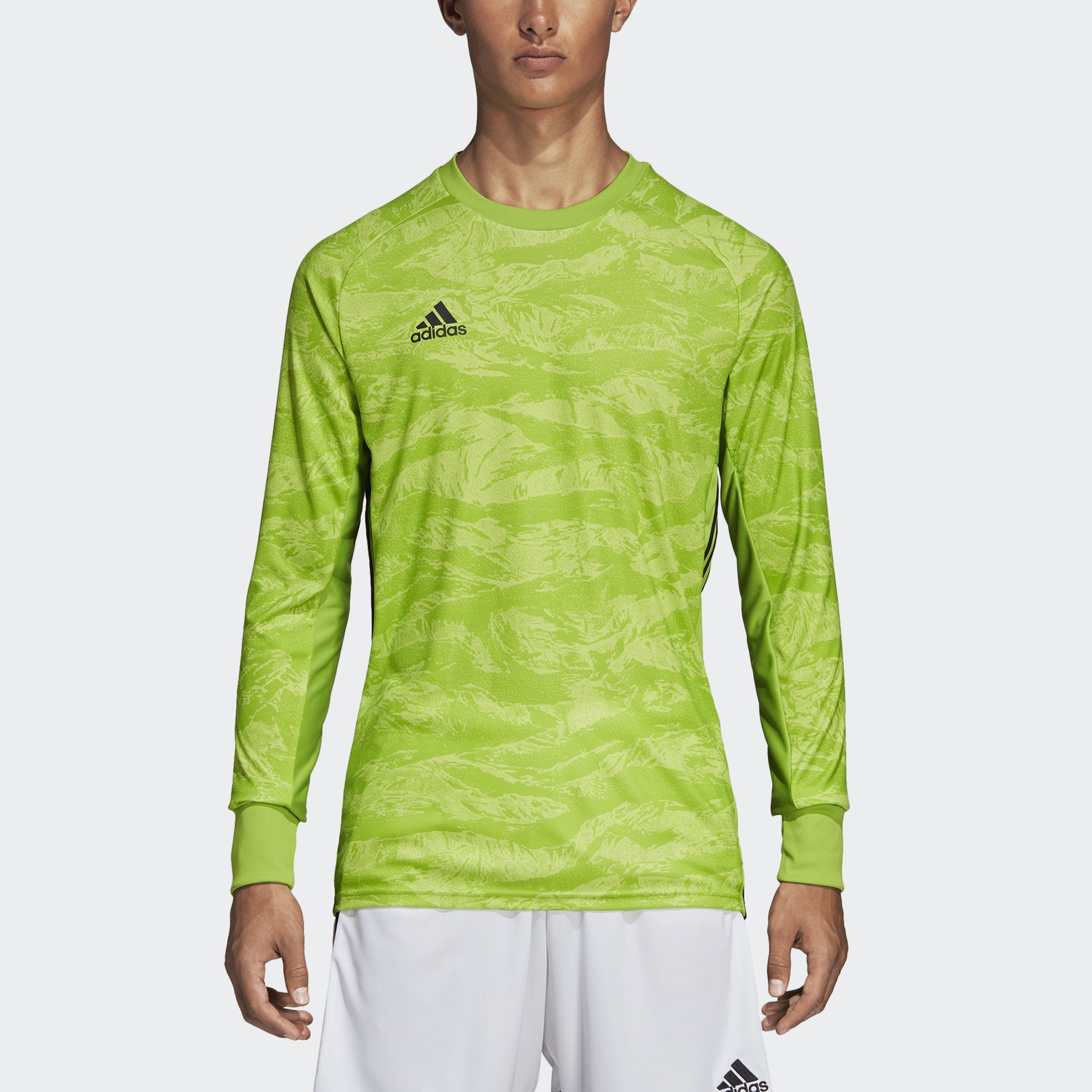 adidas adipro 19 goalkeeper jersey