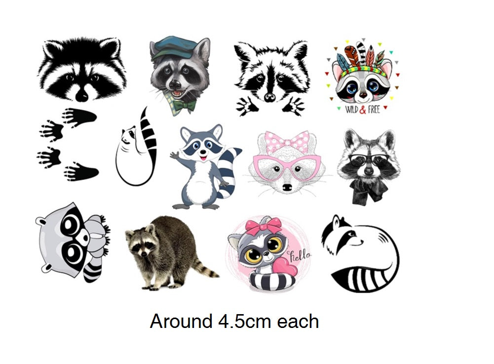 5 Raccoon Tattoos Designs