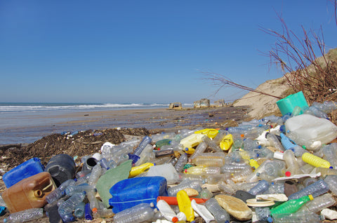 Plastics & our ocean