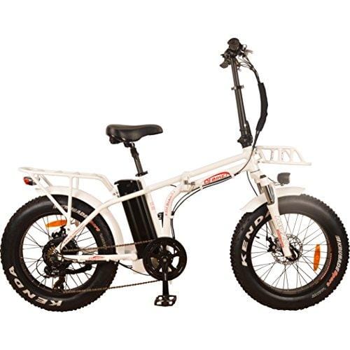 the dj 750w 48v 13ah fat bike