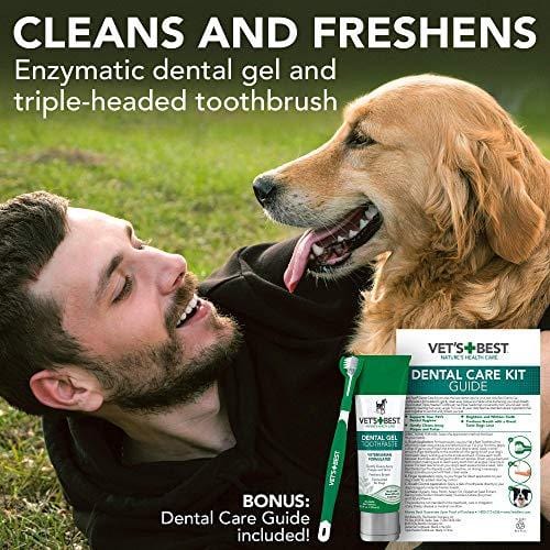 dog toothbrush set