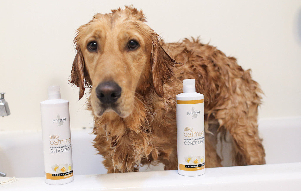 best professional dog grooming shampoo