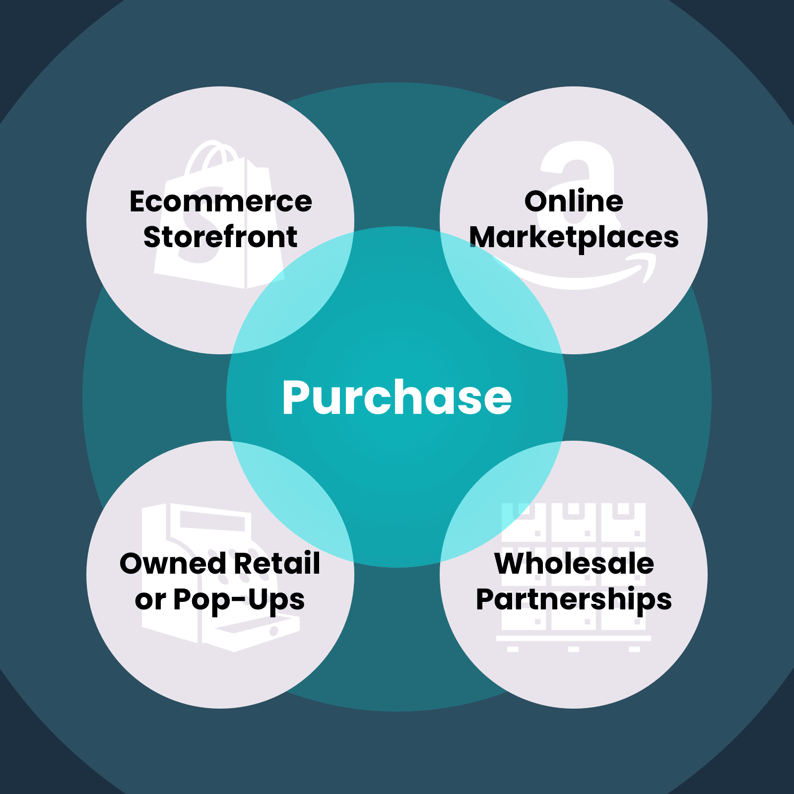 distribution channels: ecommerce storefront, online marketplaces, owned retail or pop-ups, wholesale partnerships